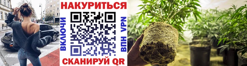 Бошки марихуана гибрид  shop наркотические препараты  Ершов 
